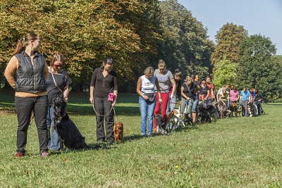 Skupinový výcvik psů Aigon Ostrava